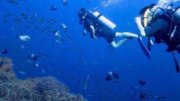 废弃海盗船逃脱